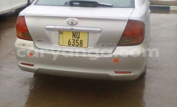 Buy Used Toyota Allex Silver Car in Limbe in Malawi Buy Used Toyota Allex Silver Car in Limbe in Malawi