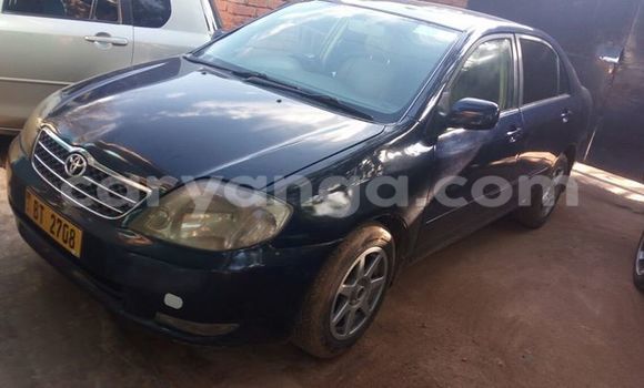Buy Used Toyota Corolla Black Car in Limbe in Malawi Buy Used Toyota Corolla Black Car in Limbe in Malawi