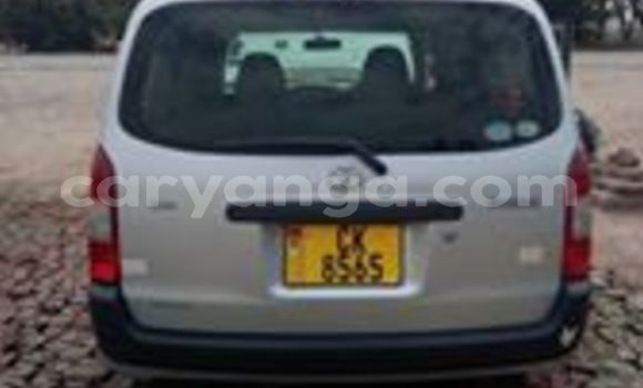 Buy Used Toyota Probox Silver Car in Lilongwe in Malawi Buy Used Toyota Probox Silver Car in Lilongwe in Malawi