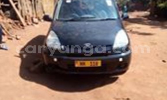 Buy Used Toyota FunCargo Black Car in Lilongwe in Malawi Buy Used Toyota FunCargo Black Car in Lilongwe in Malawi