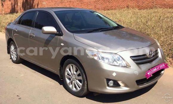 Buy Used Toyota Corolla Brown Car in Lilongwe in Malawi Buy Used Toyota Corolla Brown Car in Lilongwe in Malawi