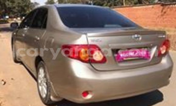 Buy Used Toyota Corolla Brown Car in Lilongwe in Malawi Buy Used Toyota Corolla Brown Car in Lilongwe in Malawi