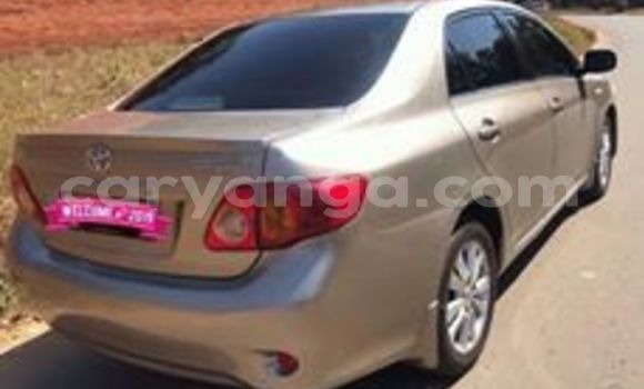 Buy Used Toyota Corolla Brown Car in Lilongwe in Malawi Buy Used Toyota Corolla Brown Car in Lilongwe in Malawi
