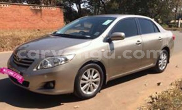 Buy Used Toyota Corolla Brown Car in Lilongwe in Malawi Buy Used Toyota Corolla Brown Car in Lilongwe in Malawi