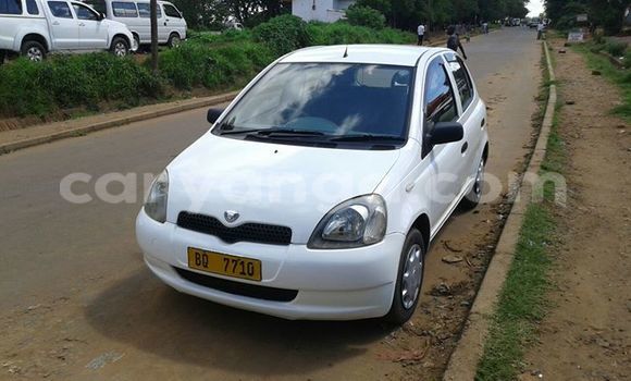 Buy Used Toyota Vitz White Car in Limbe in Malawi Buy Used Toyota Vitz White Car in Limbe in Malawi