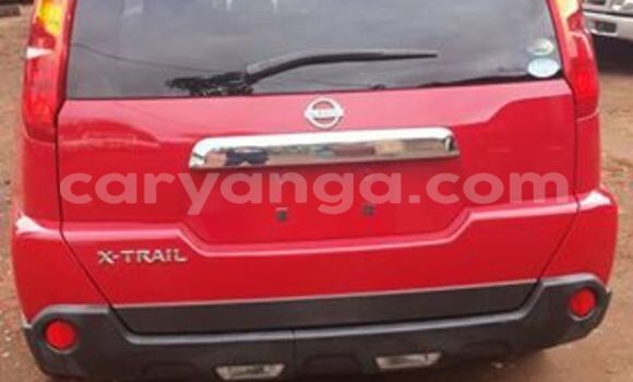 Buy Used Nissan X–Trail Red Car in Limbe in Malawi Buy Used Nissan X–Trail Red Car in Limbe in Malawi