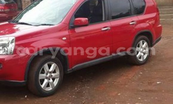 Buy Used Nissan X–Trail Red Car in Limbe in Malawi Buy Used Nissan X–Trail Red Car in Limbe in Malawi