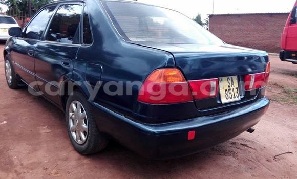 Buy Used Toyota Corolla Blue Car in Limbe in Malawi Buy Used Toyota Corolla Blue Car in Limbe in Malawi