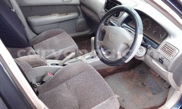 Buy Used Toyota Corolla Blue Car in Limbe in Malawi Buy Used Toyota Corolla Blue Car in Limbe in Malawi