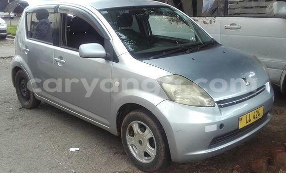 Buy Used Toyota Paseo Silver Car in Limbe in Malawi Buy Used Toyota Paseo Silver Car in Limbe in Malawi