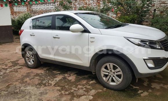 Buy Used Kia Sportage White Car in Limbe in Malawi