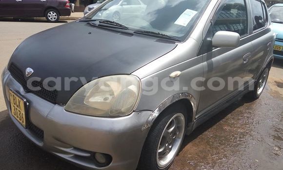 Buy Used Toyota Vitz Other Car in Limbe in Malawi Buy Used Toyota Vitz Other Car in Limbe in Malawi