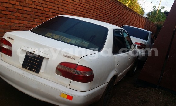 Acheter Occasion Voiture Toyota Corolla Blanc à Limbe, Malawi Acheter Occasion Voiture Toyota Corolla Blanc à Limbe, Malawi