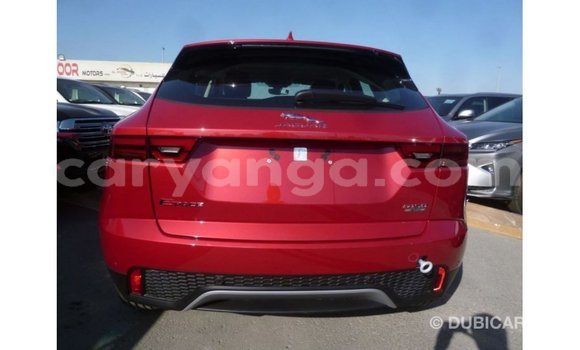 Buy Import Jaguar E-Pace Red Car in Import - Dubai in Malawi Buy Import Jaguar E-Pace Red Car in Import - Dubai in Malawi