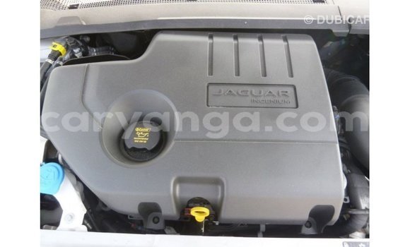 Acheter Import Voiture Jaguar E-Pace Blanc à Import - Dubai, Malawi Acheter Import Voiture Jaguar E-Pace Blanc à Import - Dubai, Malawi