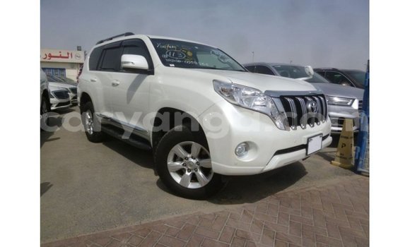Buy Import Toyota Prado White Car in Import - Dubai in Malawi Buy Import Toyota Prado White Car in Import - Dubai in Malawi