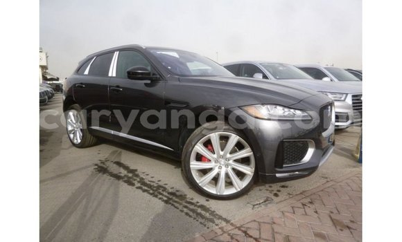 Buy Import Jaguar F-Type Black Car in Import - Dubai in Malawi