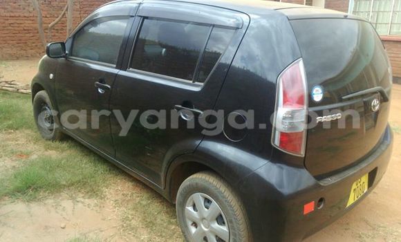 Buy Used Toyota Paseo Black Car in Limbe in Malawi Buy Used Toyota Paseo Black Car in Limbe in Malawi