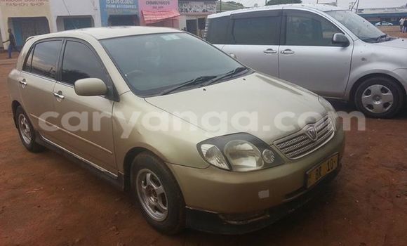 Buy Used Toyota Allex Other Car in Limbe in Malawi Buy Used Toyota Allex Other Car in Limbe in Malawi