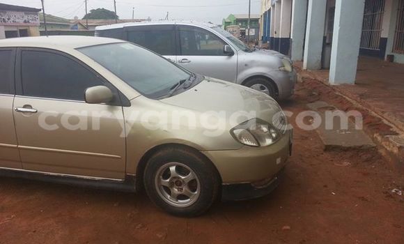 Buy Used Toyota Allex Other Car in Limbe in Malawi Buy Used Toyota Allex Other Car in Limbe in Malawi