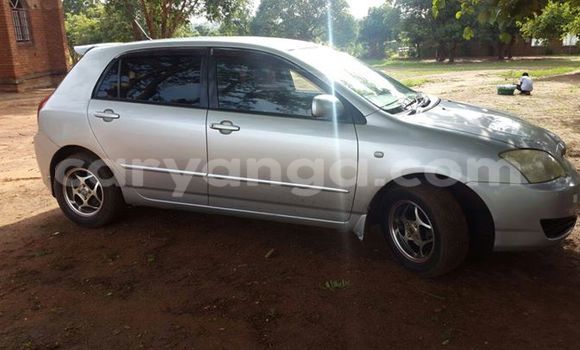 Acheter Occasion Voiture Toyota Runx Gris à Limbe, Malawi Acheter Occasion Voiture Toyota Runx Gris à Limbe, Malawi