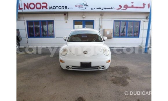 Acheter Import Voiture Volkswagen Beetle Blanc à Import - Dubai, Malawi Acheter Import Voiture Volkswagen Beetle Blanc à Import - Dubai, Malawi