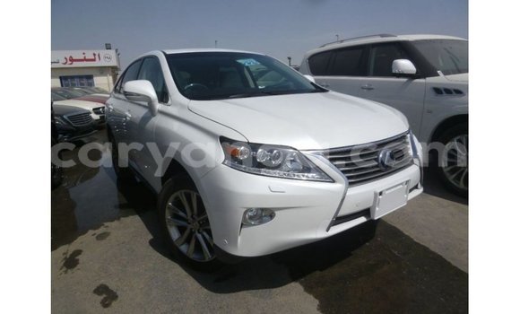 Buy Import Lexus RX White Car in Import - Dubai in Malawi