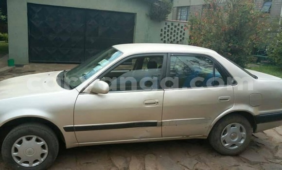 Buy Used Toyota Corolla Silver Car in Lilongwe in Malawi Buy Used Toyota Corolla Silver Car in Lilongwe in Malawi