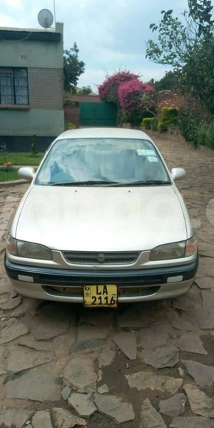 Big with watermark 68984653 2437748252985799 3852708212813856768 n