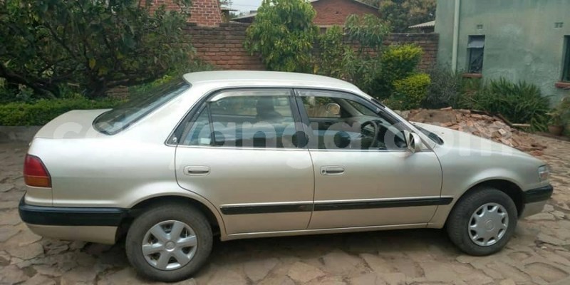 Big with watermark 67974068 2437748106319147 8923935528387084288 n