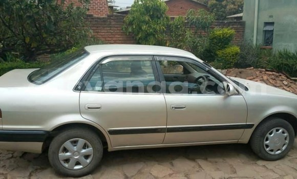 Buy Used Toyota Corolla Silver Car in Lilongwe in Malawi Buy Used Toyota Corolla Silver Car in Lilongwe in Malawi