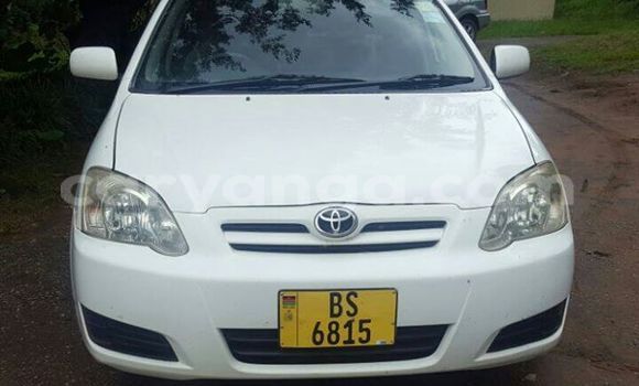 Buy Used Toyota Runx White Car in Limbe in Malawi Buy Used Toyota Runx White Car in Limbe in Malawi