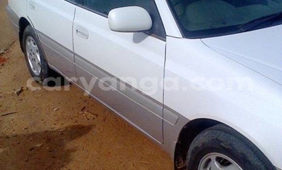 Acheter Occasion Voiture Toyota Corona Gris à Limbe, Malawi