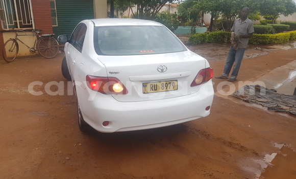 Buy Used Toyota Corolla White Car in Lilongwe in Malawi Buy Used Toyota Corolla White Car in Lilongwe in Malawi