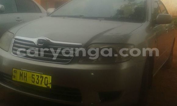 Acheter Occasion Voiture Toyota 4Runner Gris à Blantyre, Malawi Acheter Occasion Voiture Toyota 4Runner Gris à Blantyre, Malawi