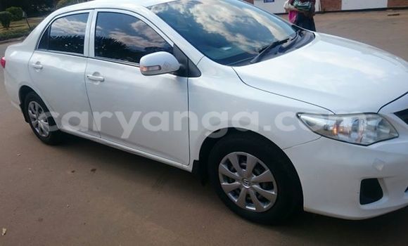 Buy Used Toyota 4Runner White Car in Lilongwe in Malawi Buy Used Toyota 4Runner White Car in Lilongwe in Malawi