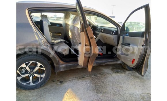 Buy Import Kia Sportage Brown Car in Import - Dubai in Malawi Buy Import Kia Sportage Brown Car in Import - Dubai in Malawi