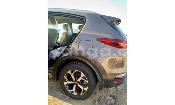 Buy Import Kia Sportage Brown Car in Import - Dubai in Malawi Buy Import Kia Sportage Brown Car in Import - Dubai in Malawi
