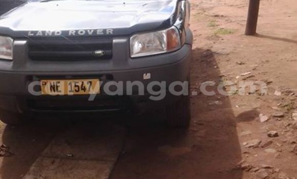 Buy Used Land Rover Freelander Car in Limbe in Malawi