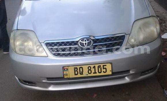 Buy Used Toyota Corolla Silver Car in Limbe in Malawi Buy Used Toyota Corolla Silver Car in Limbe in Malawi