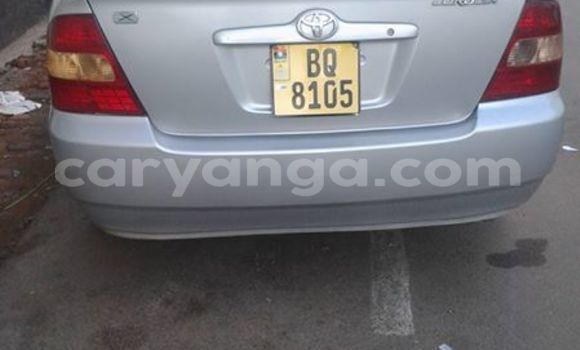 Buy Used Toyota Corolla Silver Car in Limbe in Malawi Buy Used Toyota Corolla Silver Car in Limbe in Malawi