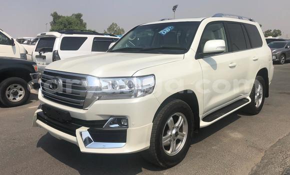 Buy Used Toyota Land Cruiser White Car in Dowa in Dowa Buy Used Toyota Land Cruiser White Car in Dowa in Dowa