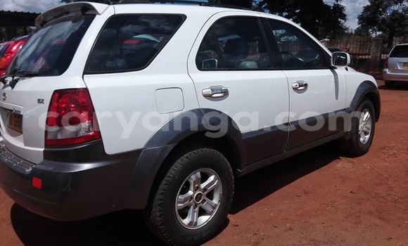 Buy Used Kia Sorento White Car in Limbe in Malawi