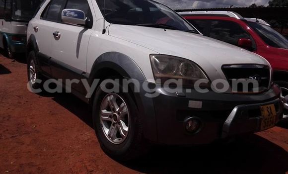 Nunua Ilio tumika Kia Sorento White Gari ndani ya Limbe nchini Malawi Nunua Ilio tumika Kia Sorento White Gari ndani ya Limbe nchini Malawi
