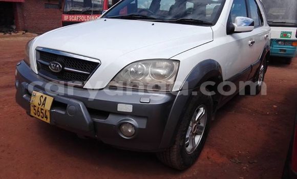 Nunua Ilio tumika Kia Sorento White Gari ndani ya Limbe nchini Malawi Nunua Ilio tumika Kia Sorento White Gari ndani ya Limbe nchini Malawi