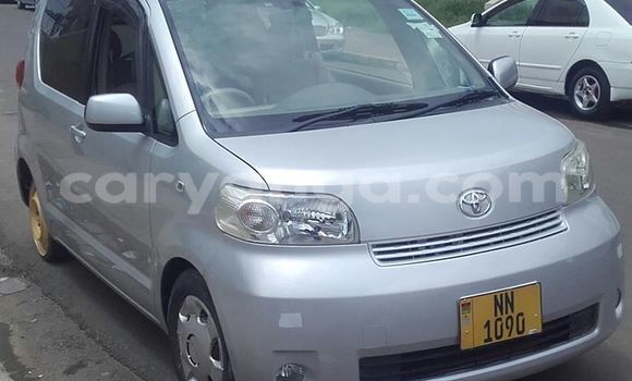 Buy Used Toyota Porte Silver Car in Limbe in Malawi Buy Used Toyota Porte Silver Car in Limbe in Malawi