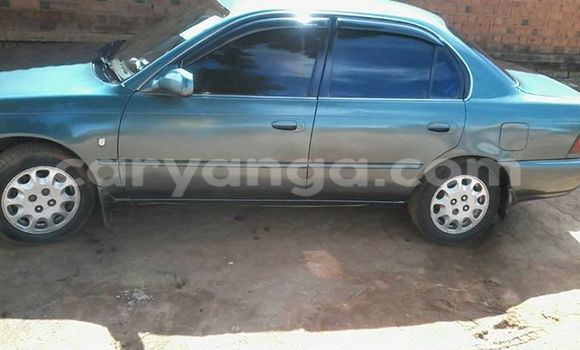 Buy Used Toyota Corolla Other Car in Limbe in Malawi Buy Used Toyota Corolla Other Car in Limbe in Malawi