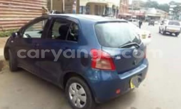 Buy Used Toyota Vitz Blue Car in Limbe in Malawi Buy Used Toyota Vitz Blue Car in Limbe in Malawi