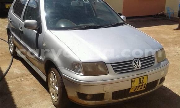Buy Used Volkswagen Polo Silver Car in Limbe in Malawi Buy Used Volkswagen Polo Silver Car in Limbe in Malawi
