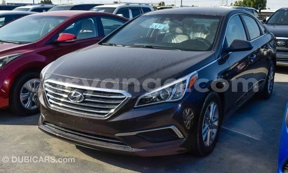 Buy Import Hyundai Sonata Brown Car in Import - Dubai in Malawi Buy Import Hyundai Sonata Brown Car in Import - Dubai in Malawi